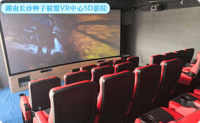 湖南長沙種子聯盟VR中心5D影院