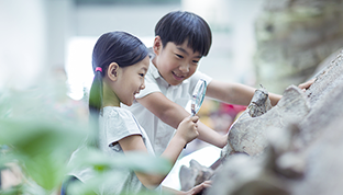 應用范圍廣，覆蓋人群廣