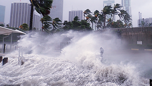 逼真場景，身臨其境